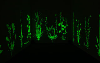 "Mother Earth" © Clara Oppel