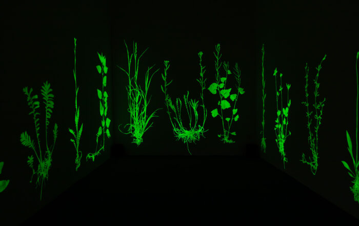 "Mother Earth" © Clara Oppel